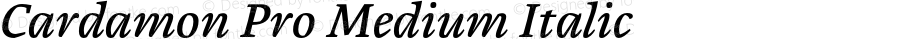 Cardamon Pro Medium Italic