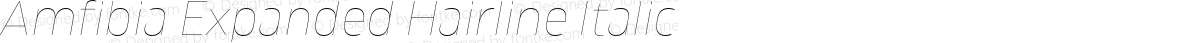 Amfibia Expanded Hairline Italic