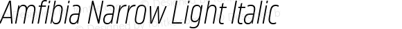 Amfibia Narrow Light Italic