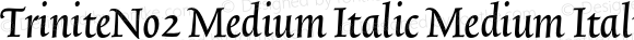 TriniteNo2 Medium Italic Medium Italic