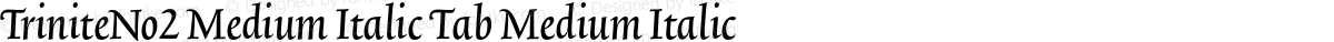 TriniteNo2 Medium Italic Tab Medium Italic