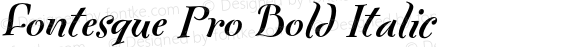 Fontesque Pro Bold Italic