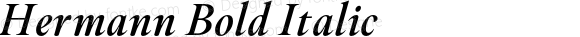 Hermann Bold Italic