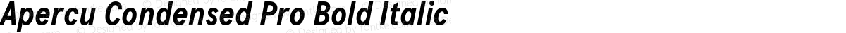Apercu Condensed Pro Bold Italic