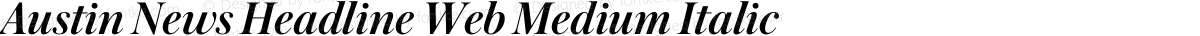 Austin News Headline Web Medium Italic