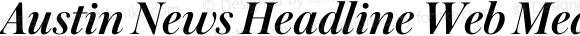 Austin News Headline Web Medium Italic
