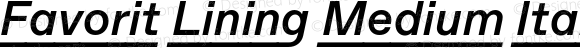 Favorit Lining Medium Italic