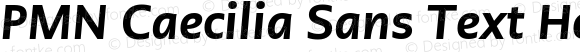 PMN Caecilia Sans Text Heavy Italic