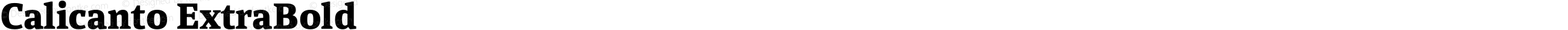 Calicanto ExtraBold