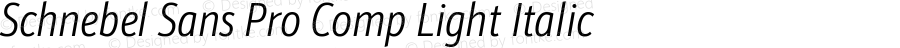 Schnebel Sans Pro Comp Light Italic