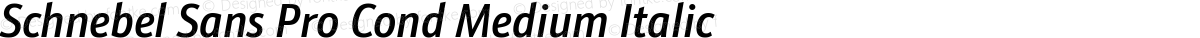 Schnebel Sans Pro Cond Medium Italic