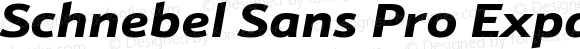 Schnebel Sans Pro Expand Black Italic