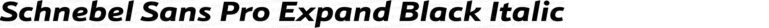 Schnebel Sans Pro Expand Black Italic