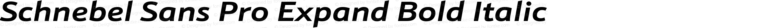 Schnebel Sans Pro Expand Bold Italic