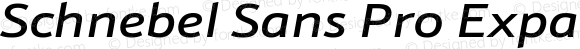 Schnebel Sans Pro Expand Medium Italic