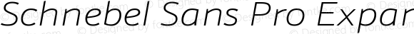 Schnebel Sans Pro Expand Thin Italic
