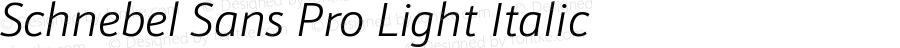 Schnebel Sans Pro Light Italic