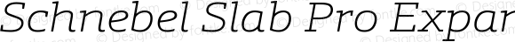 Schnebel Slab Pro Expand Thin Italic