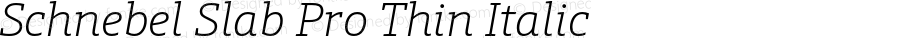 SchnebelSlabPro-ThinItalic