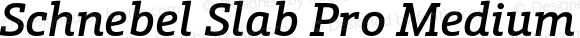 Schnebel Slab Pro Medium Italic