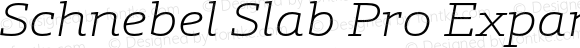 Schnebel Slab Pro Expand Thin Italic