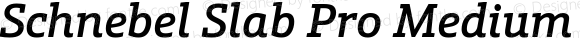 Schnebel Slab Pro Medium Italic