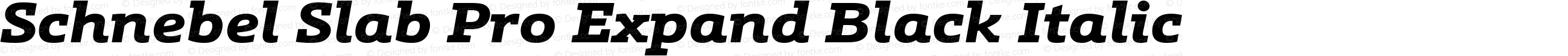 Schnebel Slab Pro Expand Black Italic