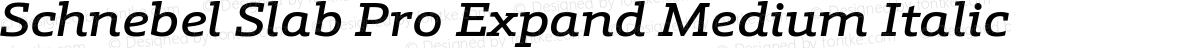 Schnebel Slab Pro Expand Medium Italic