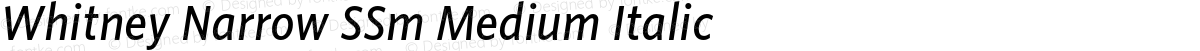 Whitney Narrow SSm Medium Italic