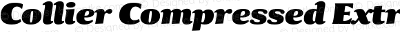 Collier Compressed ExtraBlack Italic