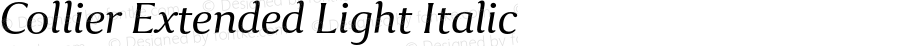 Collier-ExtendedLightItalic