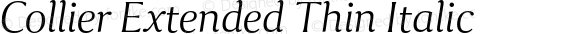 Collier Extended Thin Italic