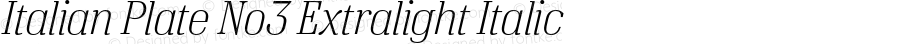 ItalianPlateNo3-ExtralightItalic