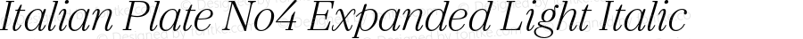 Italian Plate No4 Expanded Light Italic