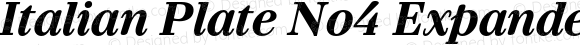 Italian Plate No4 Expanded Extrabold Italic