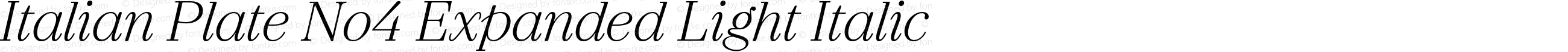 Italian Plate No4 Expanded Light Italic