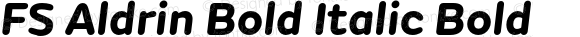 FS Aldrin Bold Italic Bold