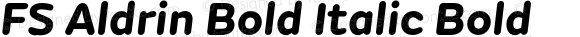 FS Aldrin Bold Italic Bold
