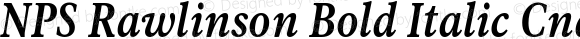 NPS Rawlinson Bold Italic Cnd