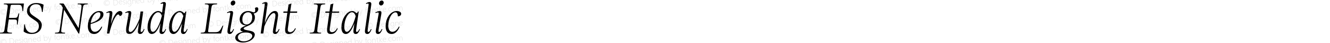 FSNerudaLightItalic