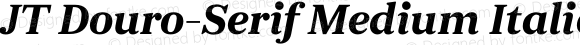 JT Douro-Serif Medium Italic