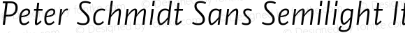 Peter Schmidt Sans Semilight Italic