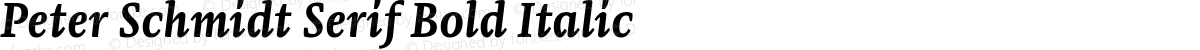 Peter Schmidt Serif Bold Italic