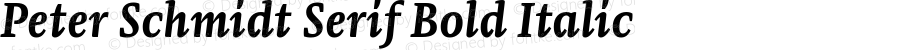 Peter Schmidt Serif Bold Italic