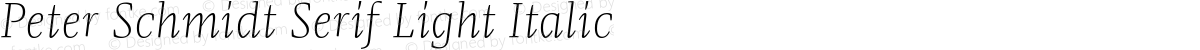 Peter Schmidt Serif Light Italic