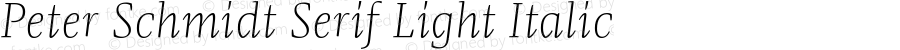 Peter Schmidt Serif Light Italic