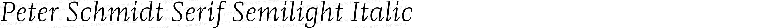 Peter Schmidt Serif SLight Italic