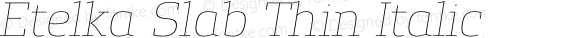 Etelka Slab Thin Italic