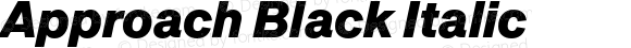 Approach Black Italic