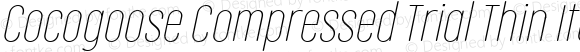 Cocogoose Compressed Trial Thin Italic